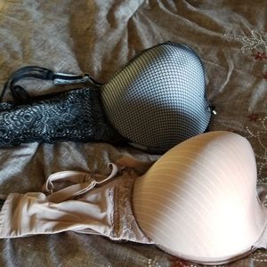 Ashley Graham bras 40H